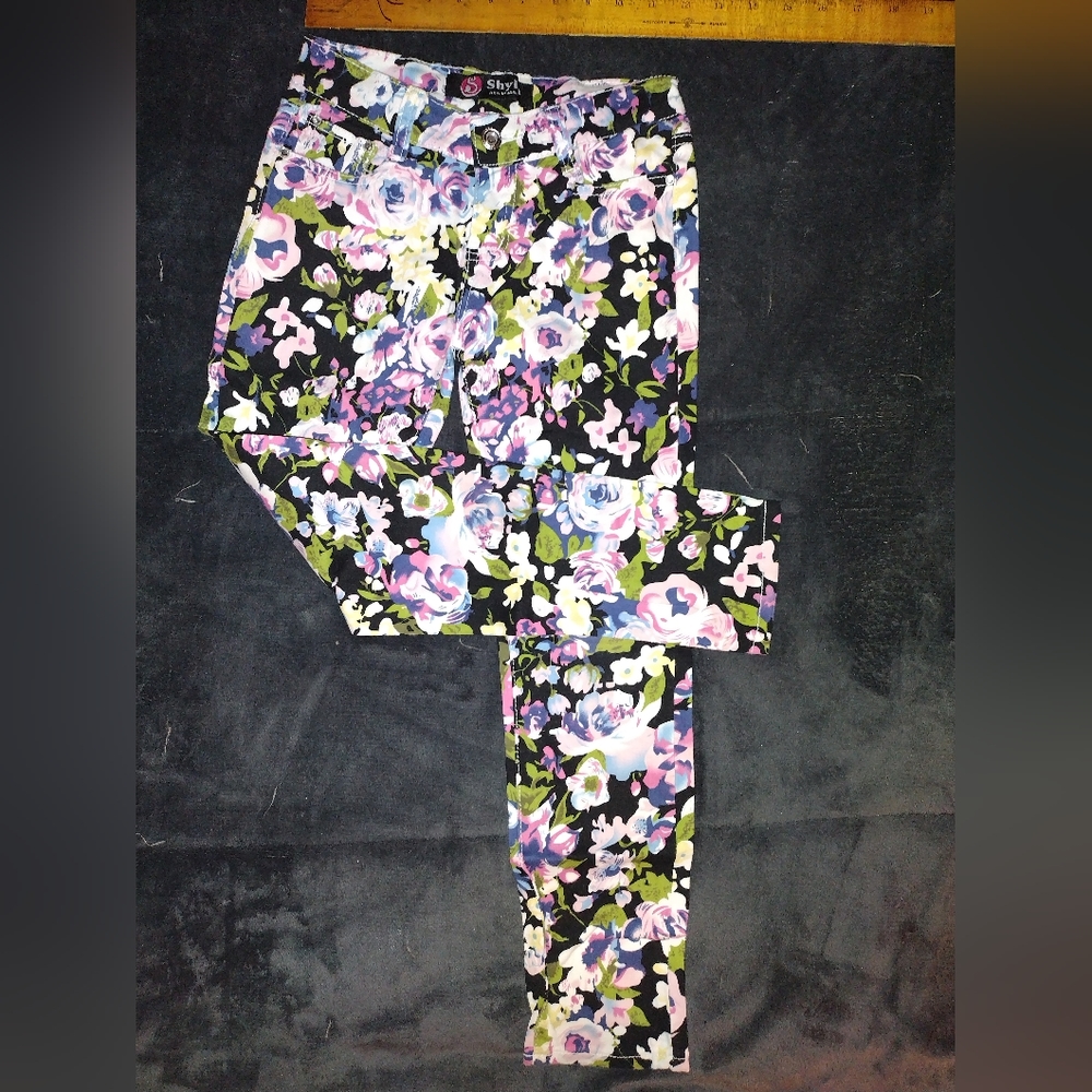 Shylo Denim Jeans size 10